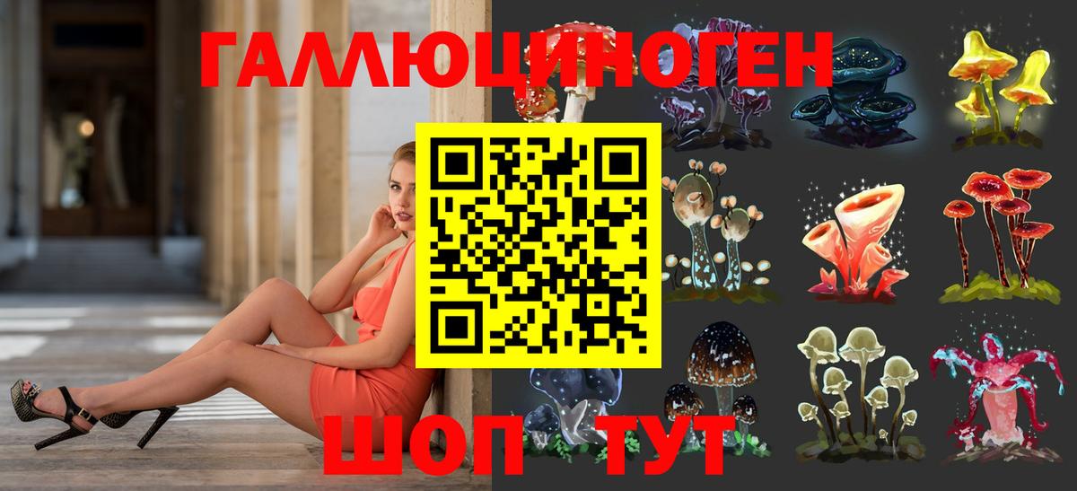 Псилоцибиновые грибы Psilocybine cubensis  Вход с VPN  Малгобек 